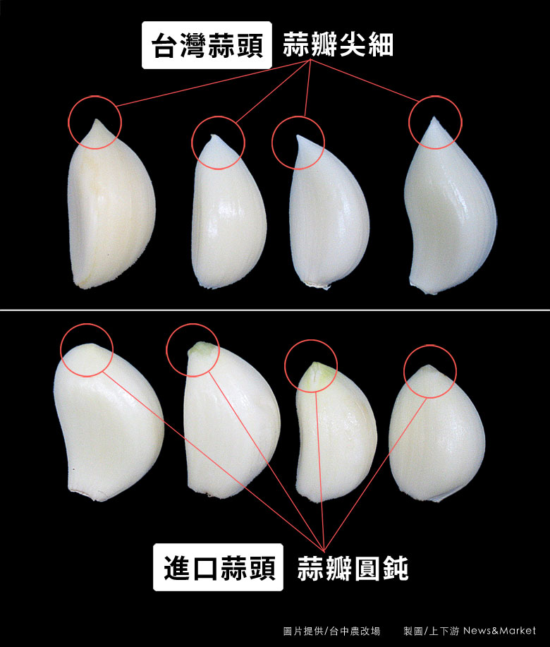 蒜仁形狀:台灣